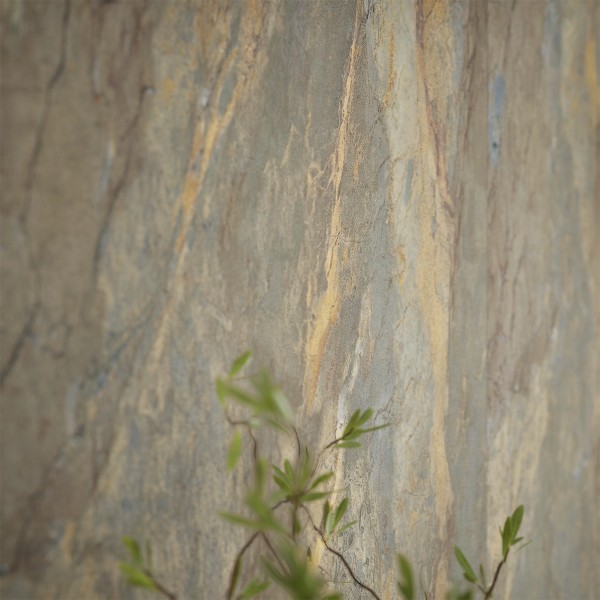 Passion Render 2
